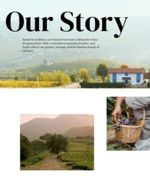 wine-about